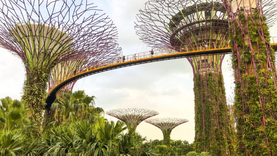 Gardens by the Bay, Singapore