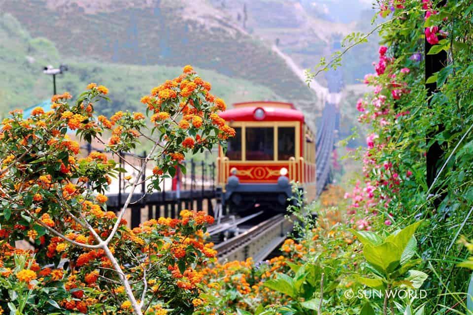 tàu hỏa leo núi Mường Hoa - Sapa